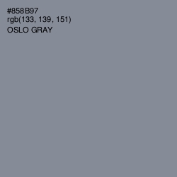 #858B97 - Oslo Gray Color Image